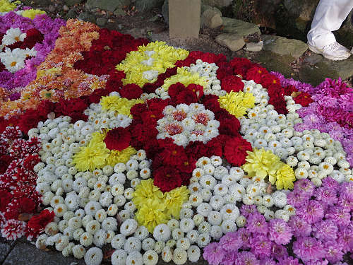 宇陀松山エリア ＠はならぁと2015-38