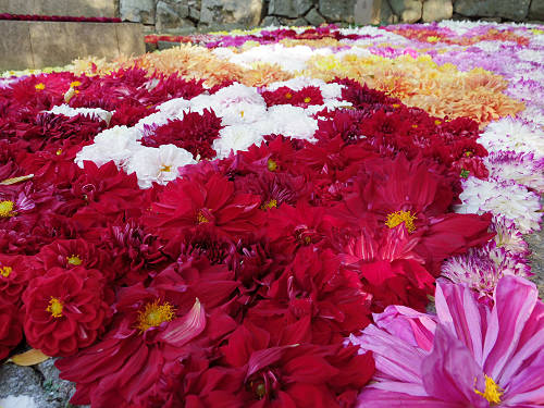 宇陀松山エリア ＠はならぁと2015-39