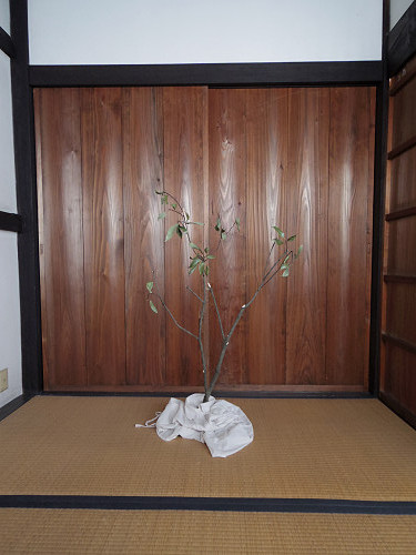 今井町エリア ＠はならぁと2015-17