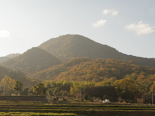 紅葉した二上山-07