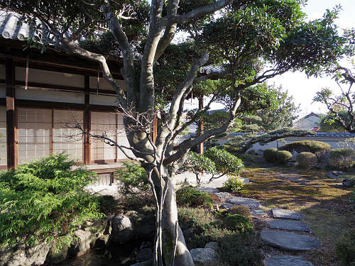 達磨寺＠王寺町-20