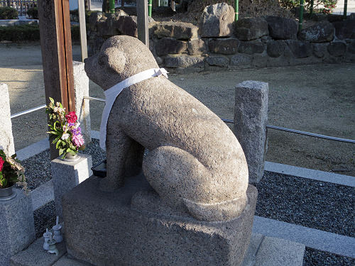 達磨寺＠王寺町-24