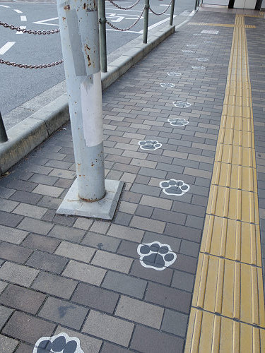 ゆるキャラ『雪丸』＠王寺町-18
