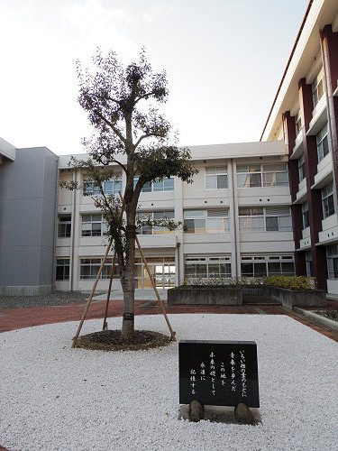 橿原総合庁舎 屋上庭園＠旧耳成高校-21