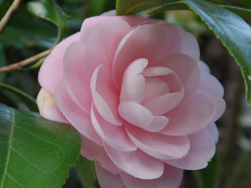 山の辺の道＠2016年初詣-10