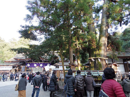 大神神社＠2016年初詣-19