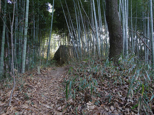 益田岩船 @橿原市-11 益田岩船 @橿原市-11