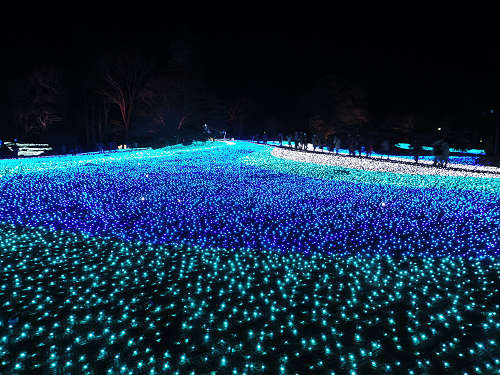 しあわせ回廊 なら瑠璃絵 2016-06 しあわせ回廊 なら瑠璃絵 2016-06