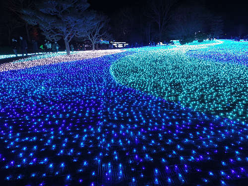 しあわせ回廊 なら瑠璃絵 2016-07 しあわせ回廊 なら瑠璃絵 2016-07