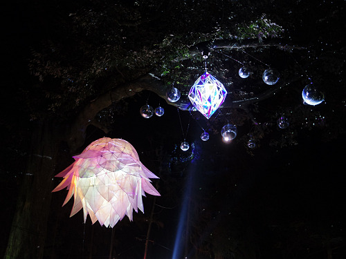 しあわせ回廊 なら瑠璃絵 2016-14 しあわせ回廊 なら瑠璃絵 2016-14