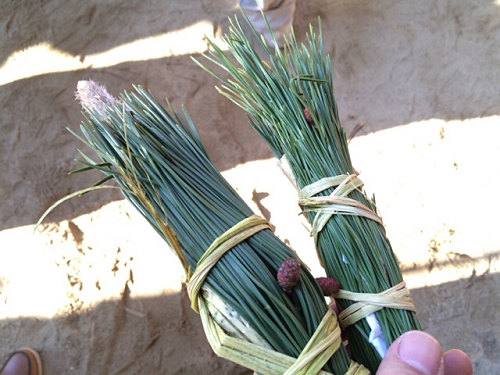 砂かけ祭り ＠廣瀬神社（河合町）-33