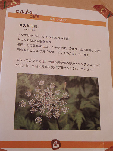 薬草カフェ『ヒルトコカフェ』@宇陀市-07 薬草カフェ『ヒルトコカフェ』@宇陀市-07