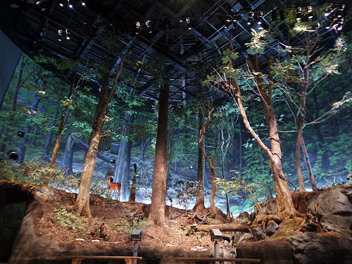 森と水の源流館 ＠川上村-04