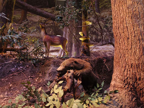 森と水の源流館 ＠川上村-05