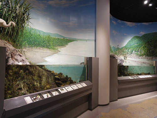 森と水の源流館 ＠川上村-10