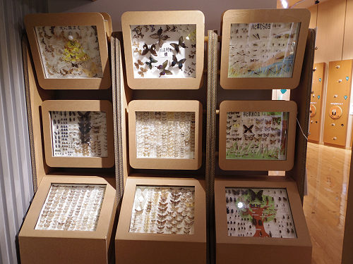 森と水の源流館 ＠川上村-18