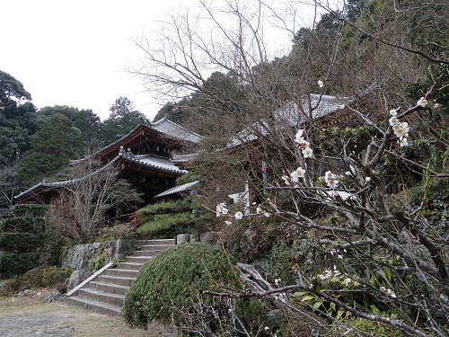 弘仁寺 ＠奈良市虚空蔵町-16