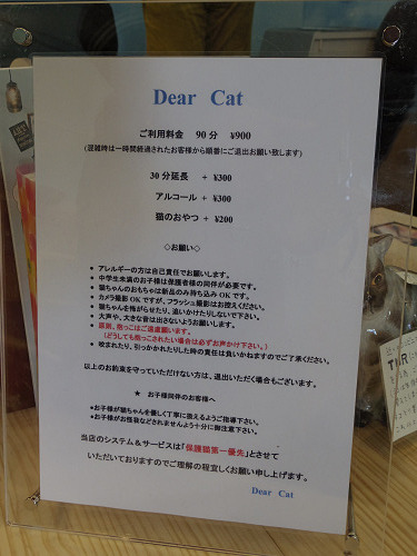 保護猫カフェ DearCat ＠生駒市-05
