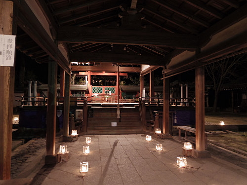 しだれ桜2016＠氷室神社（奈良市）-07