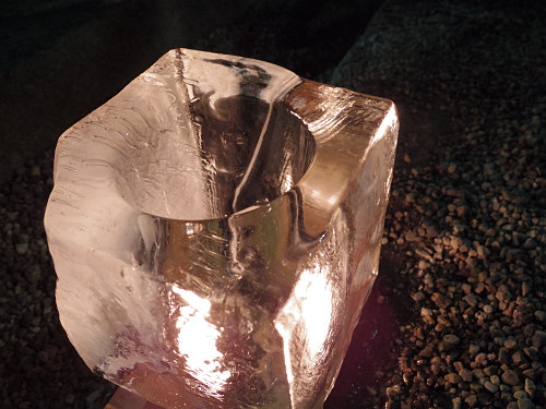 しだれ桜2016＠氷室神社（奈良市）-14