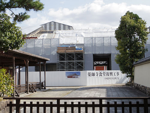 薄墨桜など＠薬師寺-11