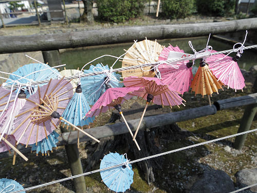 しだれ桜@當麻寺護念院-04 しだれ桜@當麻寺護念院-04