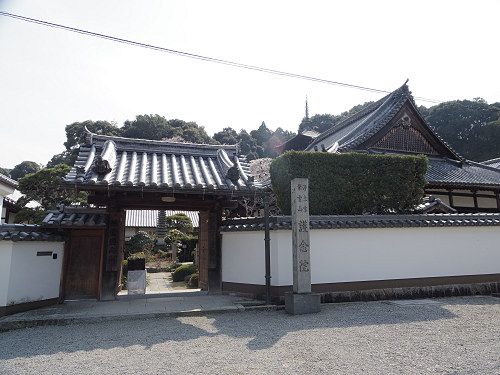 しだれ桜@當麻寺護念院-05 しだれ桜@當麻寺護念院-05