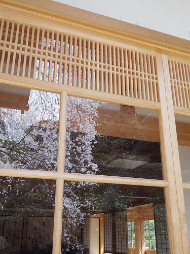 しだれ桜@當麻寺護念院-14 しだれ桜@當麻寺護念院-14