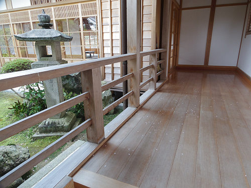 しだれ桜@當麻寺護念院-15 しだれ桜@當麻寺護念院-15