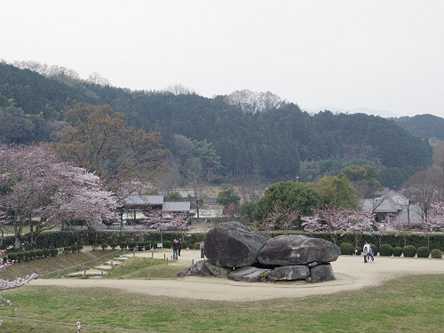桜と菜の花『石舞台古墳』@明日香村-07 桜と菜の花『石舞台古墳』@明日香村-07