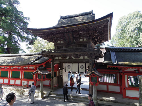 桜の名所『石上神宮外苑公園』@天理市-03 桜の名所『石上神宮外苑公園』@天理市-03