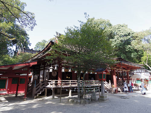 桜の名所『石上神宮外苑公園』@天理市-04 桜の名所『石上神宮外苑公園』@天理市-04