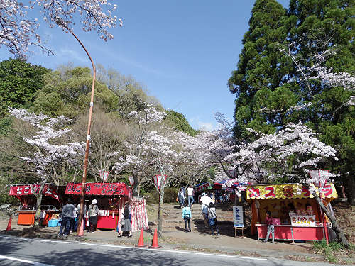 桜の名所『石上神宮外苑公園』@天理市-09 桜の名所『石上神宮外苑公園』@天理市-09