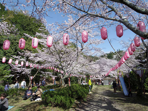 桜の名所『石上神宮外苑公園』@天理市-10 桜の名所『石上神宮外苑公園』@天理市-10