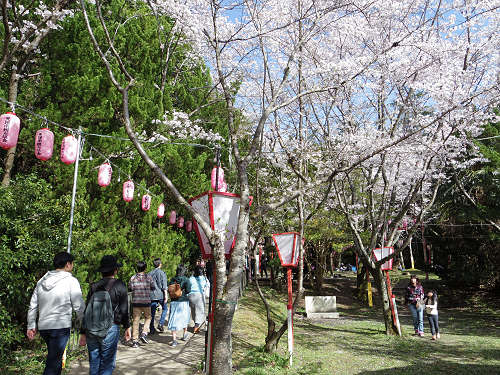 桜の名所『石上神宮外苑公園』@天理市-11 桜の名所『石上神宮外苑公園』@天理市-11