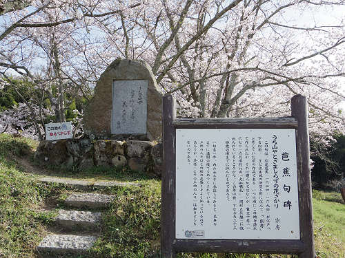 桜＠内山永久寺跡（天理市）-02