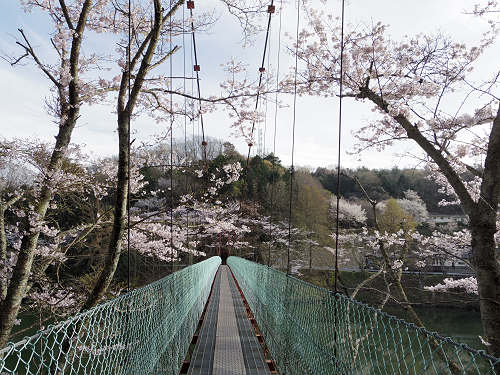 とっくり湖と桜＠三郷町（信貴山）-04