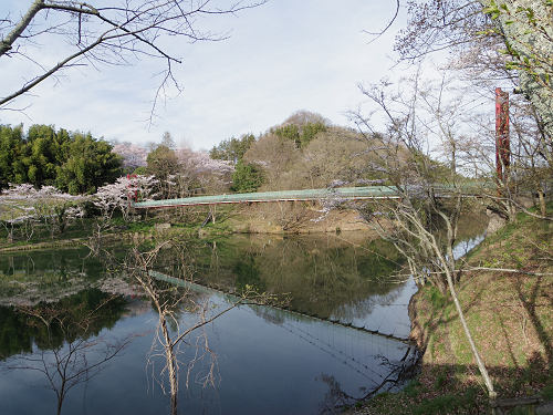 とっくり湖と桜＠三郷町（信貴山）-08