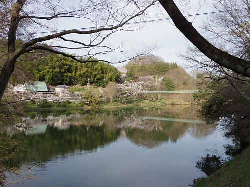 とっくり湖と桜＠三郷町（信貴山）-09
