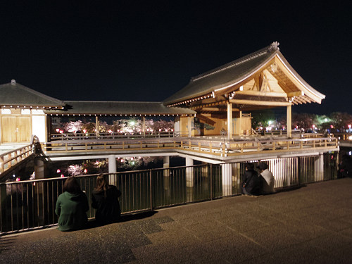 夜桜『高田千本桜』＠大和高田市-12