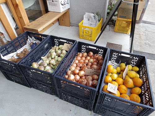 五ふしの草＠奈良市芝辻町-06