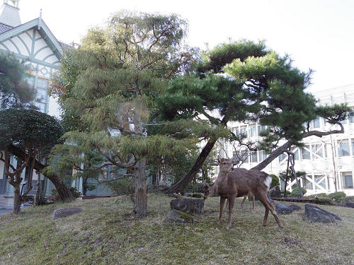 奈良女子大学記念館@奈良ひとまち大学-27 奈良女子大学記念館@奈良ひとまち大学-27