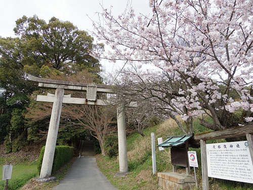 夜都伎神社＠天理市-02