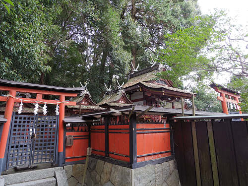 夜都伎神社＠天理市-11