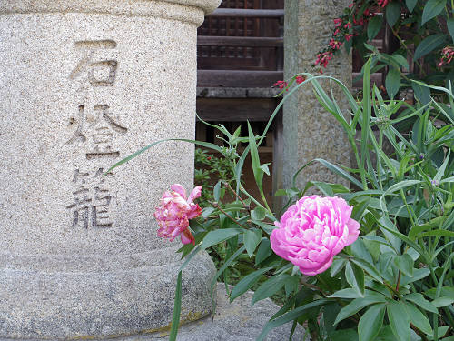 2016年『練供養会式』＠當麻寺（葛城市）-02