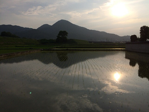 『腰折田』伝承地 @香芝市-05 『腰折田』伝承地 @香芝市-05