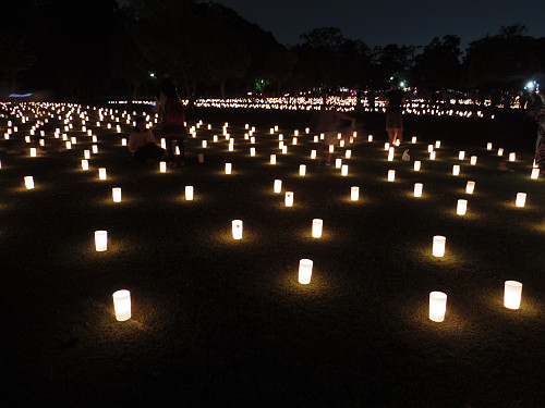 2016なら燈花会-08 2016なら燈花会-08