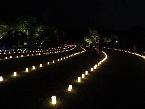 2016なら燈花会-12 2016なら燈花会-12