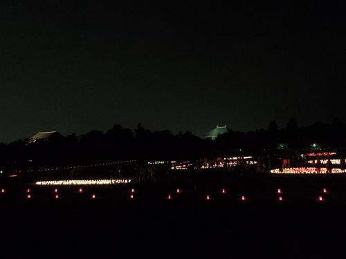 2016なら燈花会-13 2016なら燈花会-13