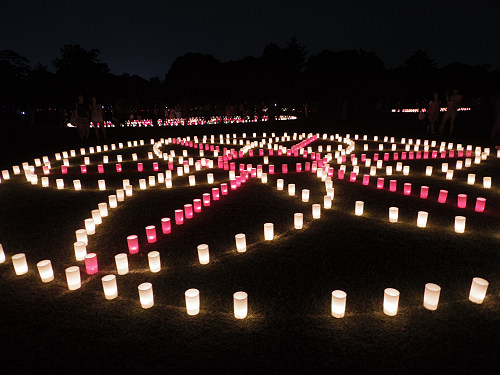 2016なら燈花会-14 2016なら燈花会-14